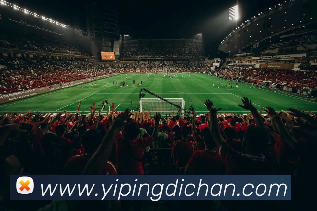 九游手机官网入口APP 体育赛事宣传图